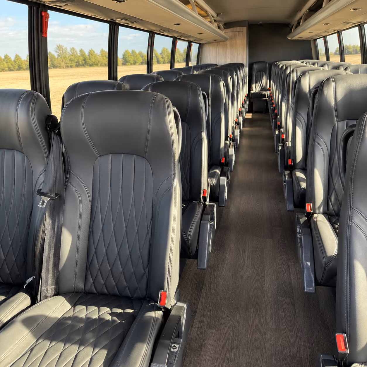 bus rentals